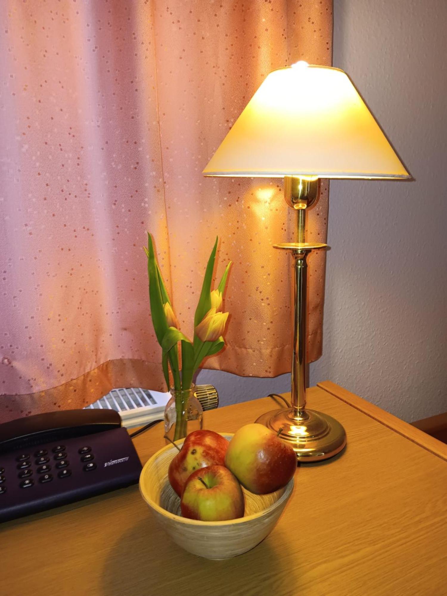 Hotel Burghof Oberweißbach エクステリア 写真