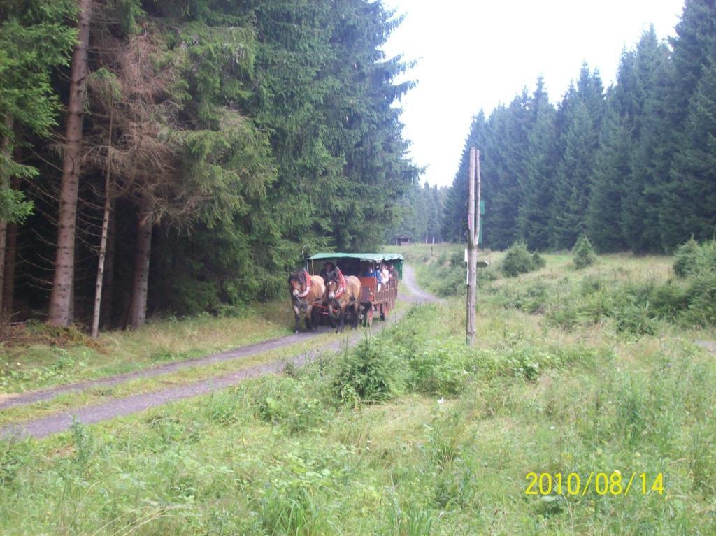 Hotel Burghof Oberweißbach 部屋 写真